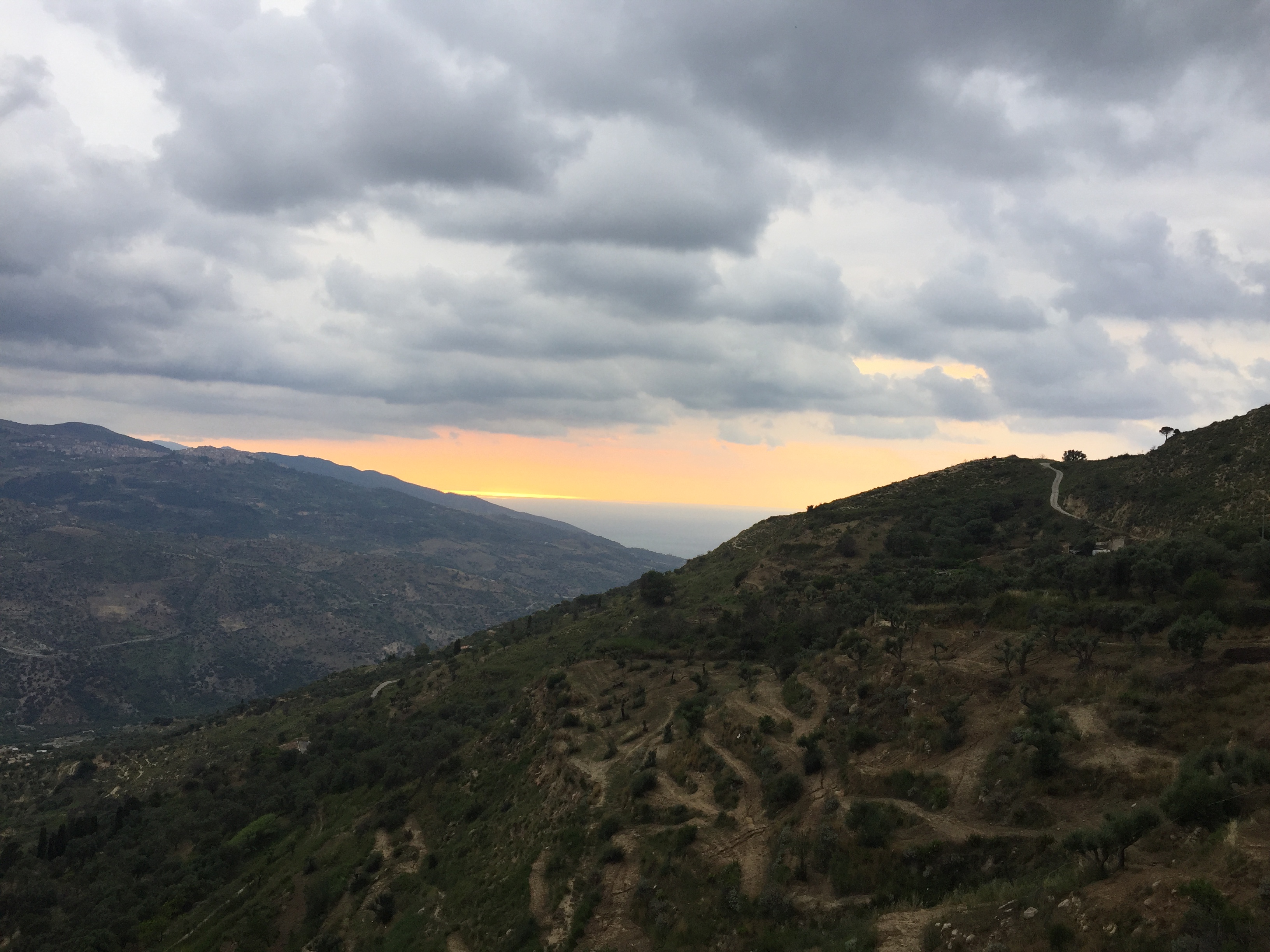 Il Melograno